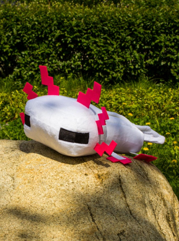 ������ ������� Minecraft � Axolotl (�����) (34 ��)
