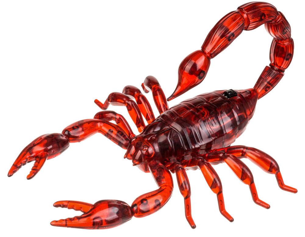 ����-�������� (OCIE: OTC0860223)