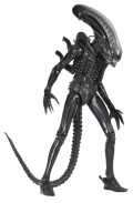 ������� NECA: Aliens � 40th Anniversary Big Chap (55 ��)