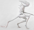  Aliens: Neomorph (10 )