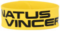  Natus Vincere  Logo