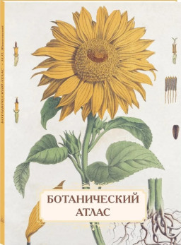 ������������ �����