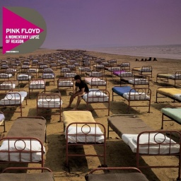 Pink Floyd. A Momentary Lapse Of Reason. Discovery Edition