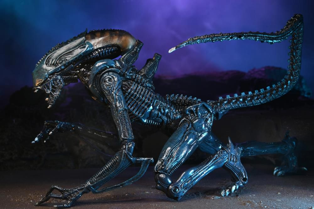  NECA Scale Action Figure: Alien Vs Predator  Arachnoid Alien Movie Deco  (17 )