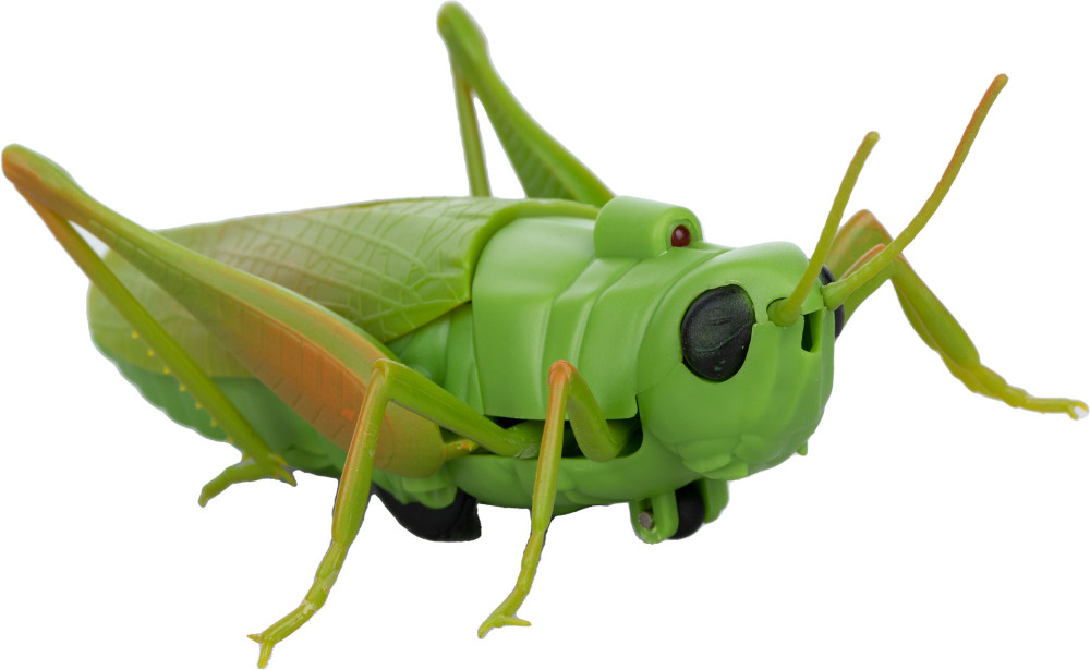 ������� �������� �� ���������� ����������