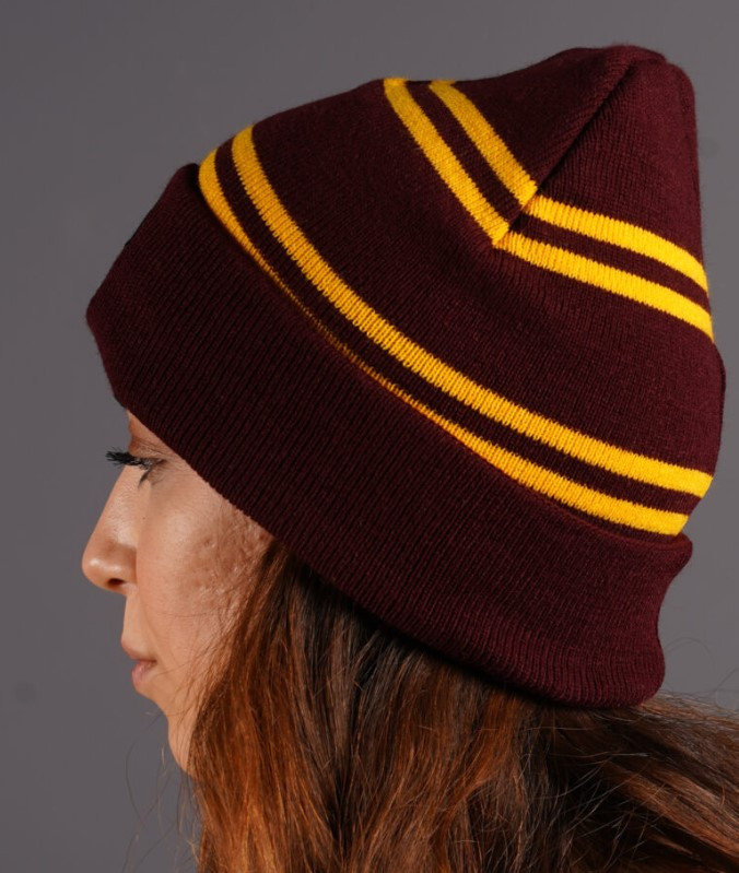 Harry Potter: Gryffindor