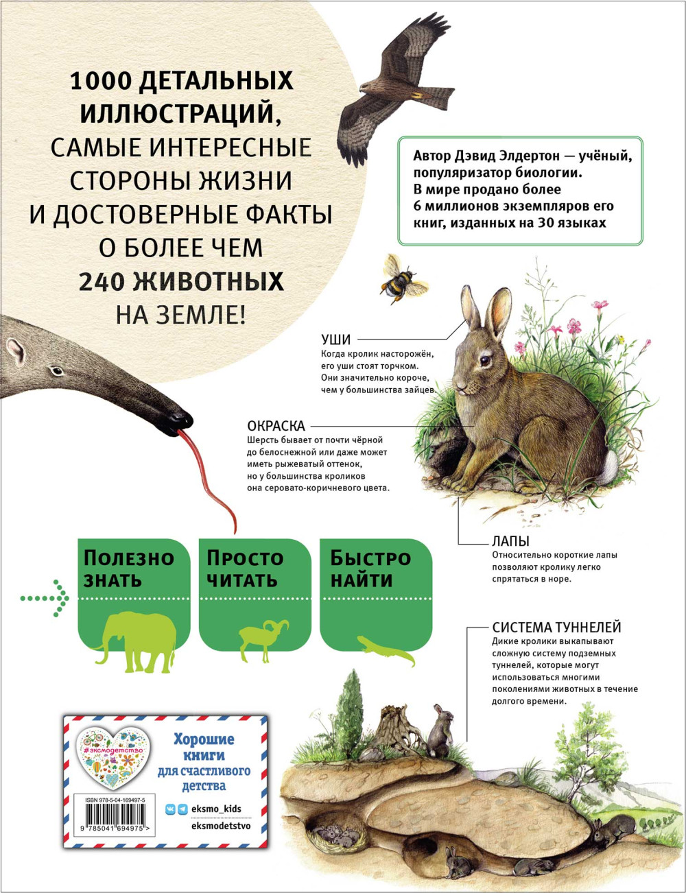Животные: Все обитатели нашей планеты