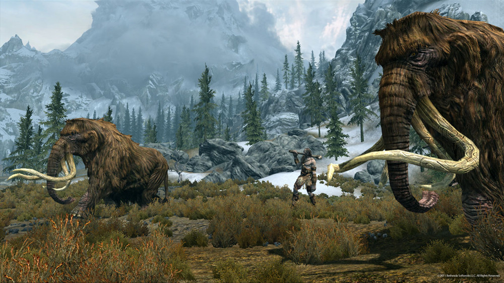 The Elder Scrolls V: Skyrim [PC-Jewel]
