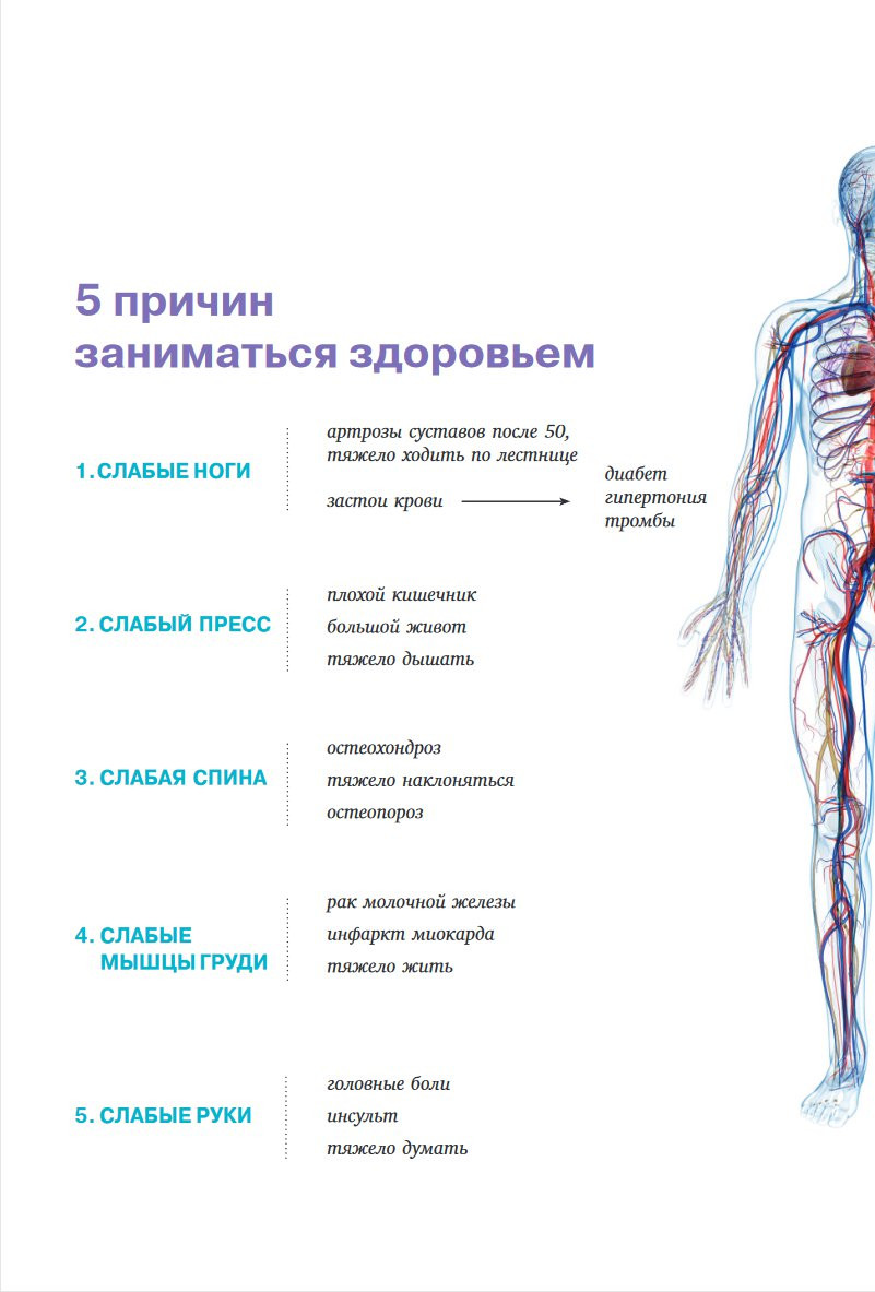 Функциональная анатомия здоровья (2-е издание, улучшенное и дополненное)