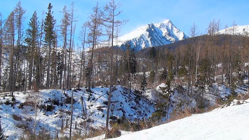  3D.   (Blu-ray 3D + 2D)