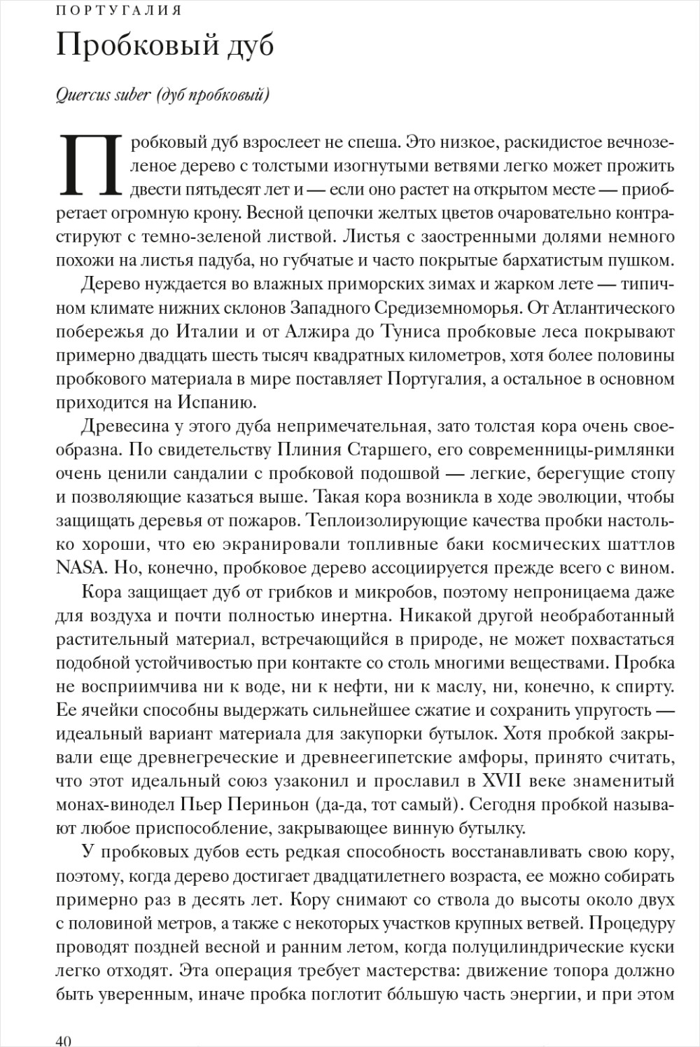 Вокруг света за 80 деревьев