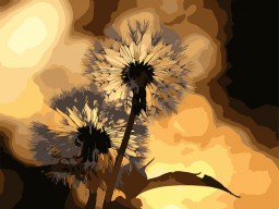         09:    (4030 )