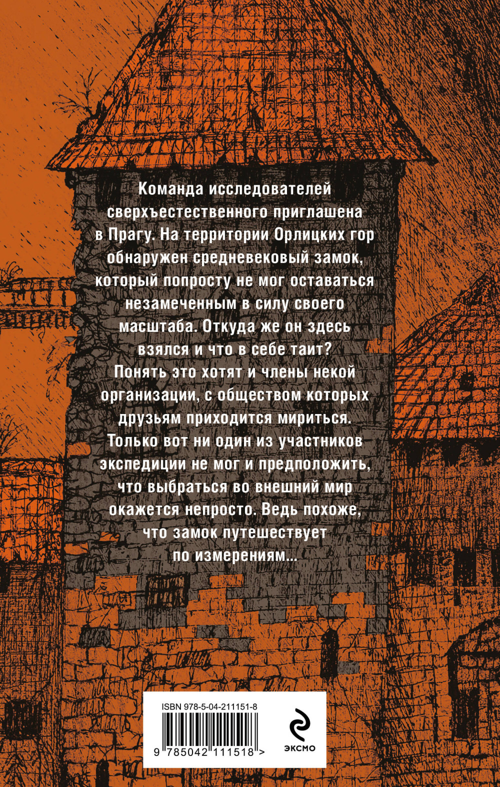 Секретное досье: Холод туманного замка. Книга 10