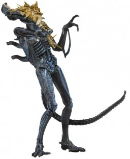  NECA: Aliens Series 12  Xenomorph Warrior Battle Damaged (Blue) (18 )