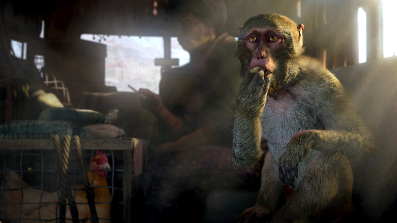   Far Cry 4 + Far Cry Primal [PS4] – Trade-in | /