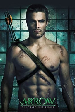  Arrow (16)