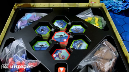 ���������� ���� ��������� ���� ���������