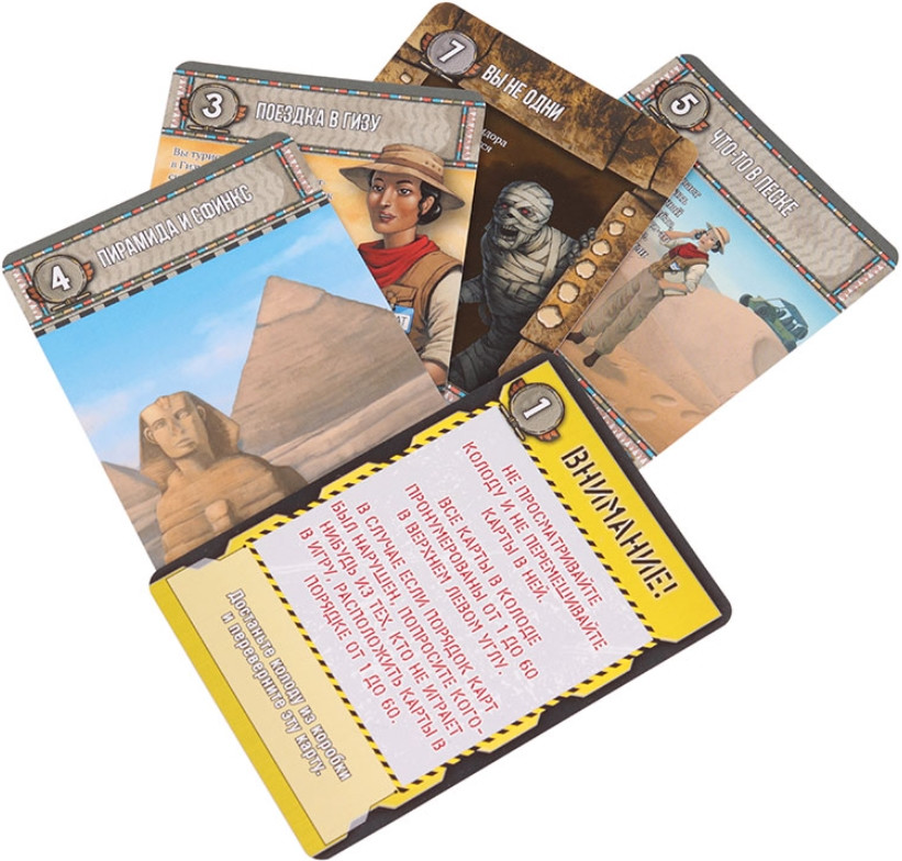 ���������� ���� ����������� 6: ��������� �������