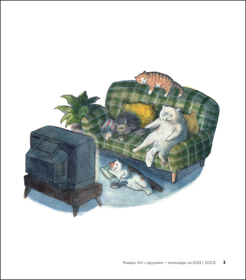 ����� ������������: ������ ���� ���