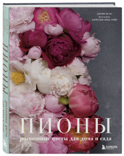 �����: ��������� ����� ��� ���� � ����