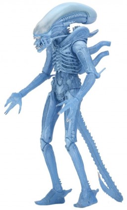  Aliens: Series 11  Kenner Blue Warrior Alien (18 )