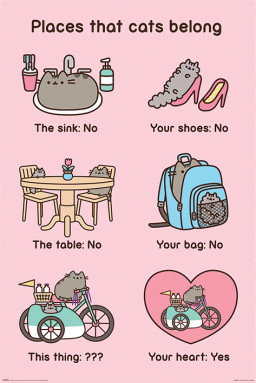  Pusheen The Cat: Places Cats Belong