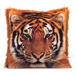 ������ �������-������� �������� ���� ����������� (33 ��)