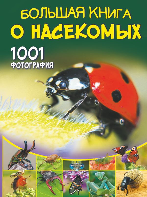 Набор Большая книга о насекомых. 1001 фотография. Спектор А.А. + Стикерпак Chainsaw Man