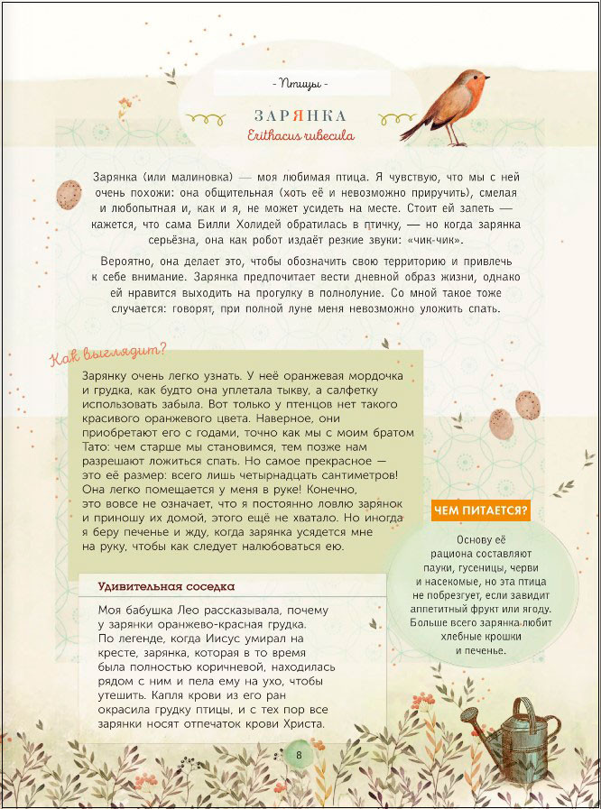 ������ ������������ ����, ���������, �������� �� �������