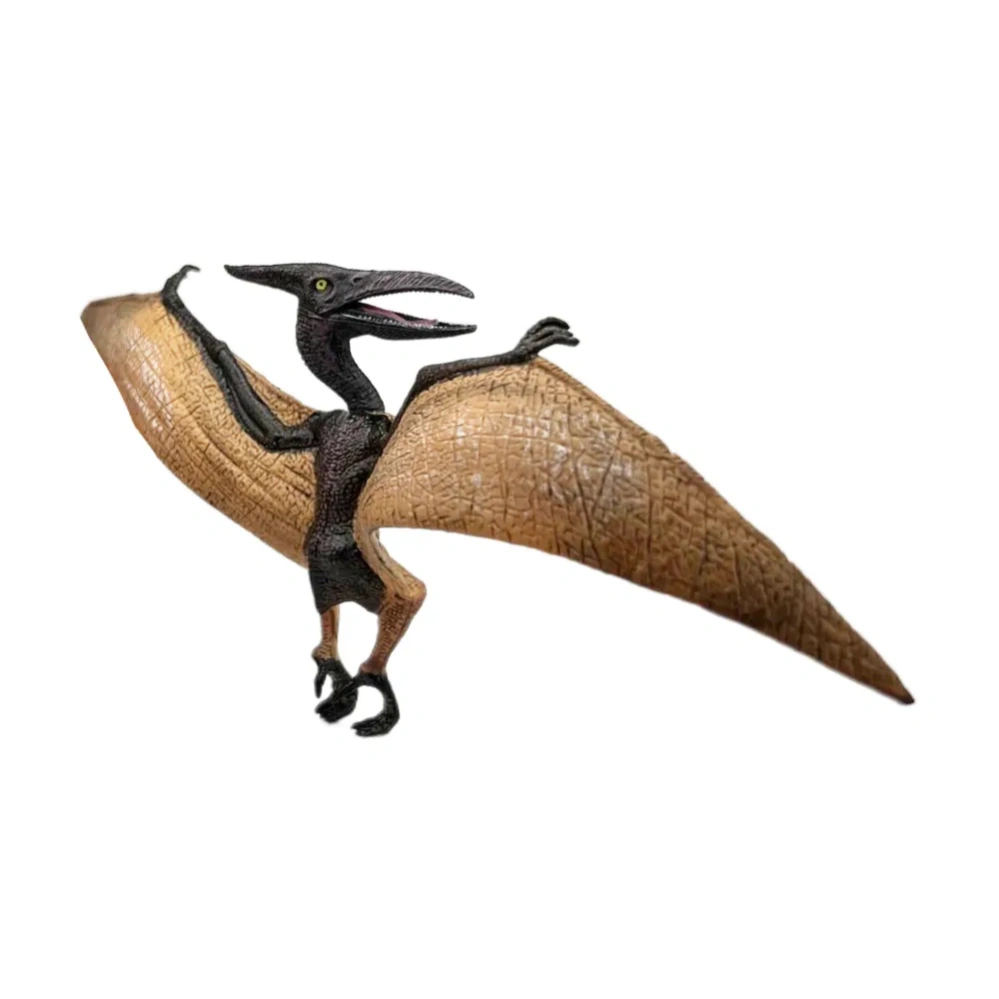 ������� ���������: ���������� (���������� / ����� / ������� / ����������) (M5015)