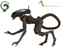 ������� NECA: Aliens Series 3 � Ultimate Dog Alien (18 ��)