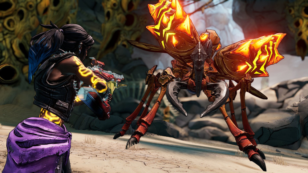 Borderlands 3: Director's Cut (Epic Games) [PC, �������� ������]