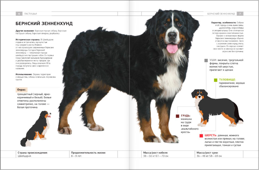 ������������ �����: ���������� �������������� � ������������ ������