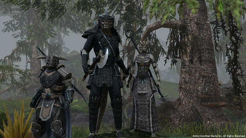 The Elder Scrolls Online: Summerset. Upgrade (  TESO) [PC,  ]