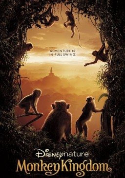 Королевство обезьян (DVD + Blu-ray)