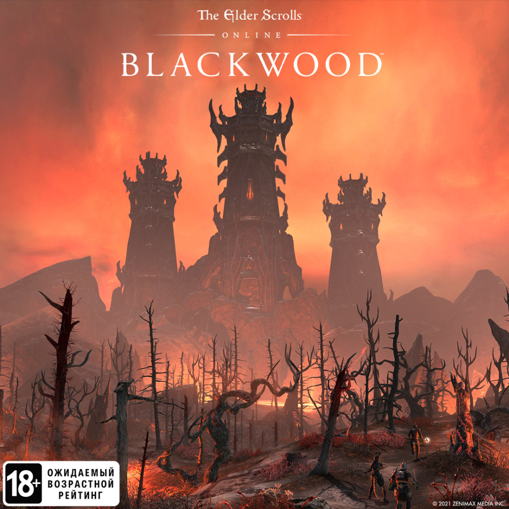 The Elder Scrolls Online: Blackwood. Upgrade.  (Steam-) [PC,  ]