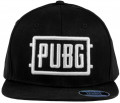  Playerunknown`s Battlegrounds: Logo