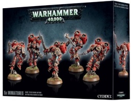   Warhammer 40,000. Chaos Space Marine Raptors ( )