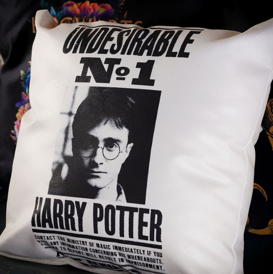  Harry Potter: Undesirable No 1 Harry Potter