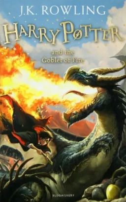 Harry Potter and the Goblet of Fire  (Paperback)