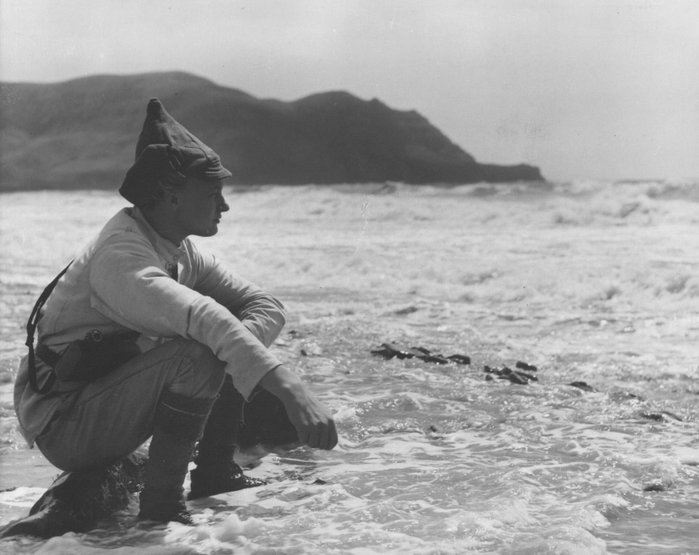 ��������� ������� (DVD)