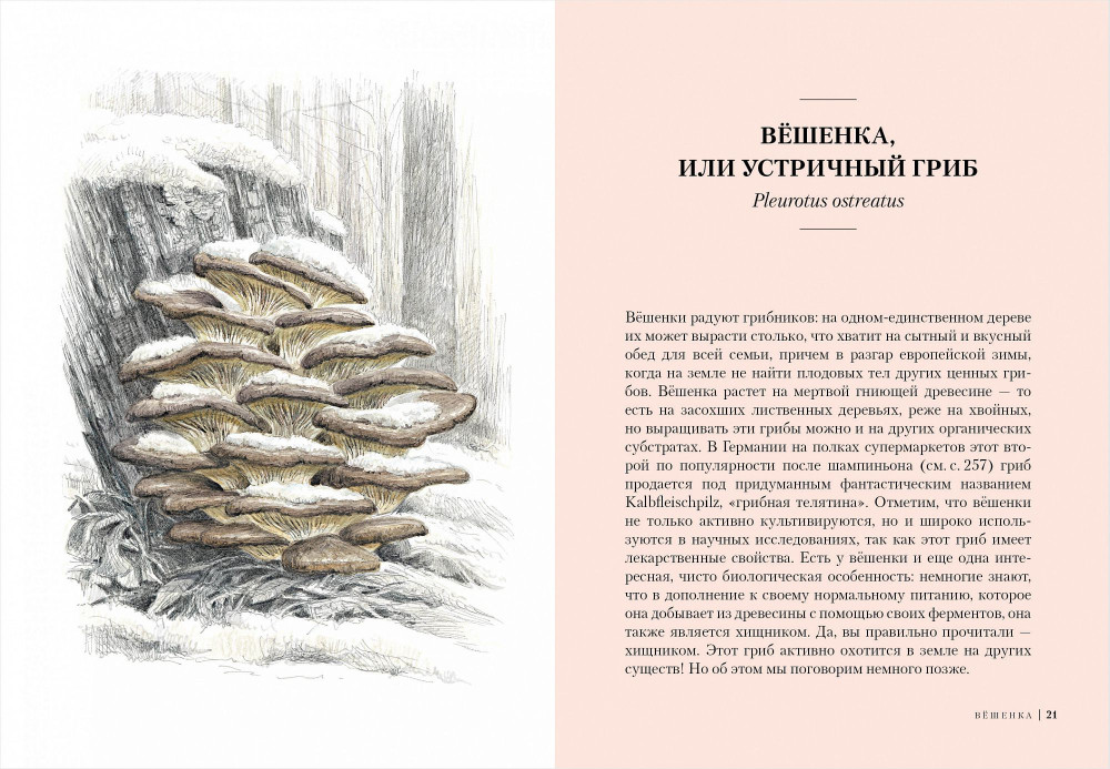 �����: ��������� �������� ����