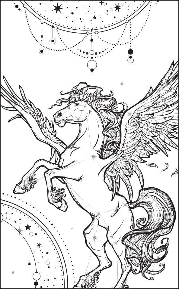 �������� ������ �����: ����� ������������. ����� 2