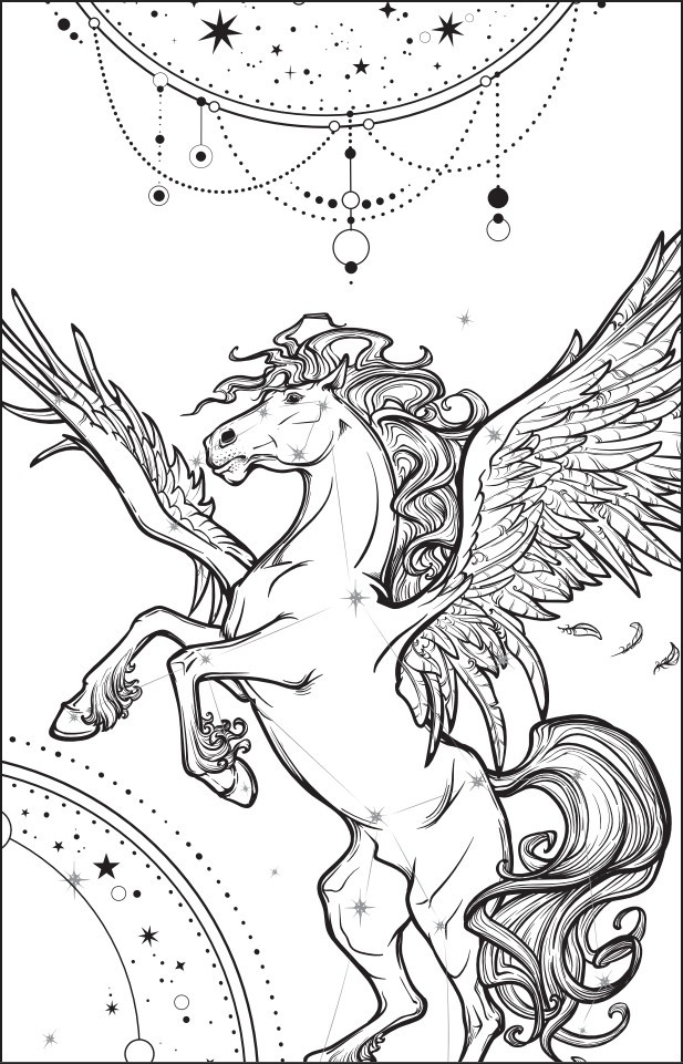 �������� ������ �����: ����������. ����� 1