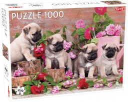 Puzzle   1000 