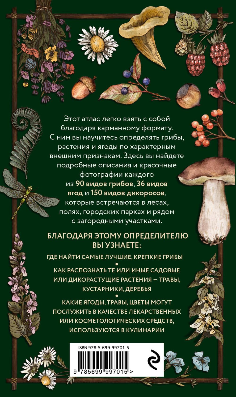 Лесной гид: грибы, ягоды, травы – Карманный атлас-определитель