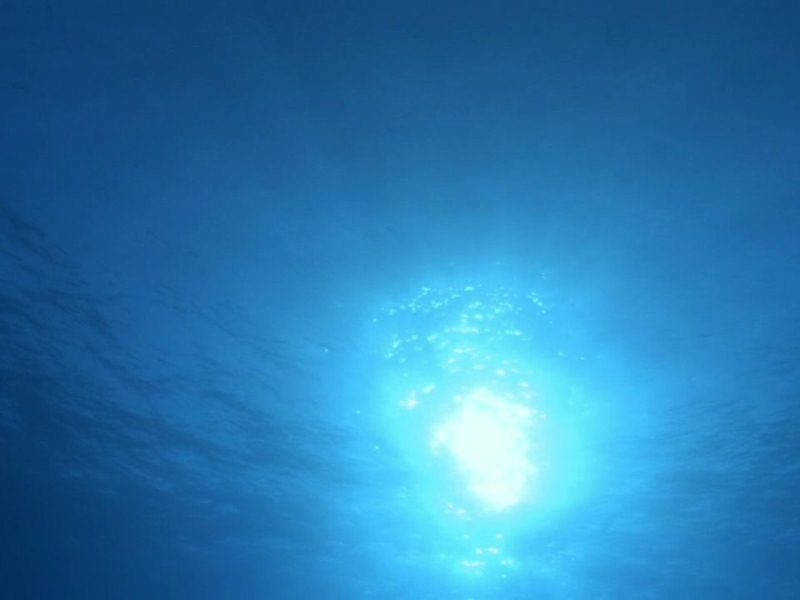 BBC: Тайны Тихого океана. Часть 1 (Blu-ray) от 1С Интерес