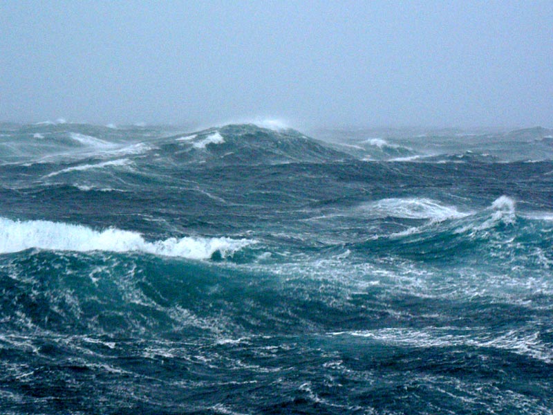 BBC: Океаны. Часть 3 от 1С Интерес